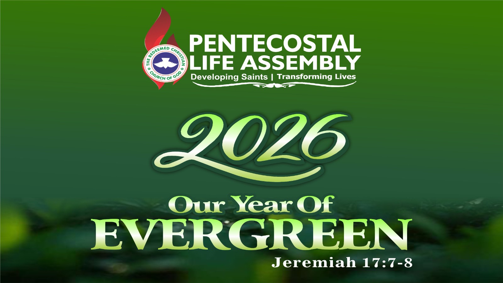 WhatsApp Image 2026-01-31 at 13.45.23 (2)